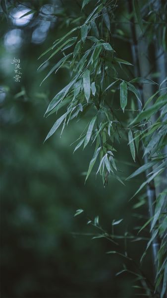 那些改变命运的小习惯 那些改变命运的小习惯