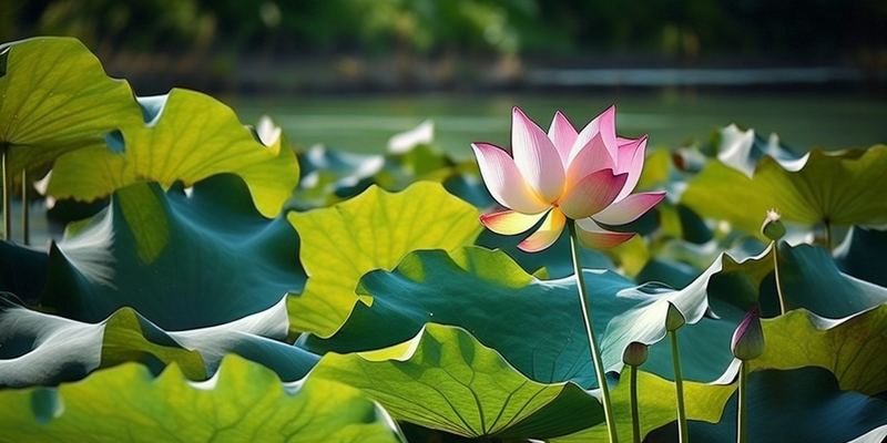 如何建立自己的知识体系 如何建立自己的知识体系