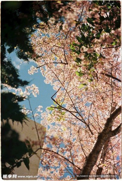 中医养生中的情志调理方法 中医养生中的情志调理方法