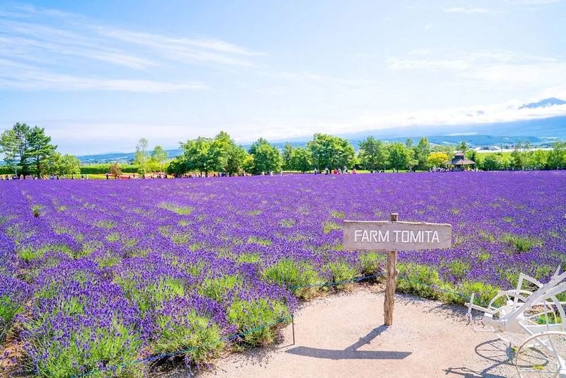 自律的人生到底有多可怕 自律的人生到底有多可怕