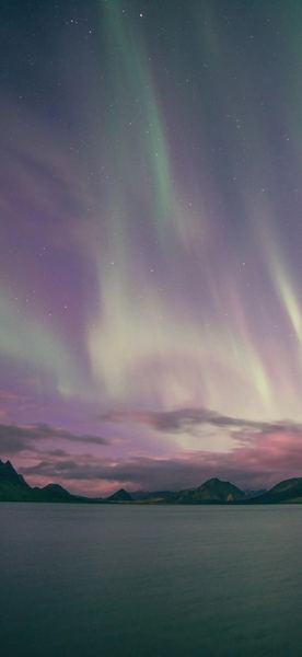 如何培养孩子的情商 如何培养孩子的情商